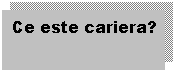 Text Box: Ce este cariera?